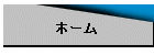 ホーム